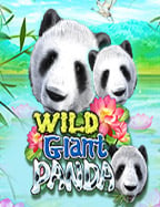 รีวิว Infinity Slot คว้าผลกำไรสูงด้วยสูตรง่ายๆ